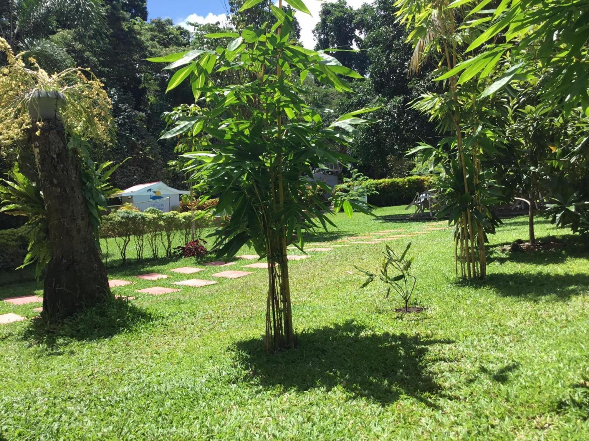 Camiguin Lanzones Resort Mambajao Exterior photo
