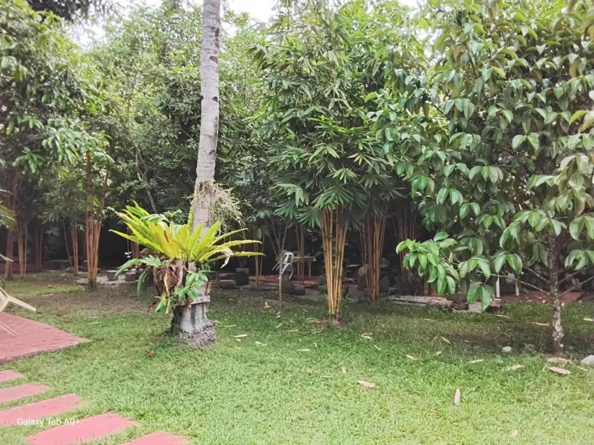 Camiguin Lanzones Resort Mambajao Exterior photo