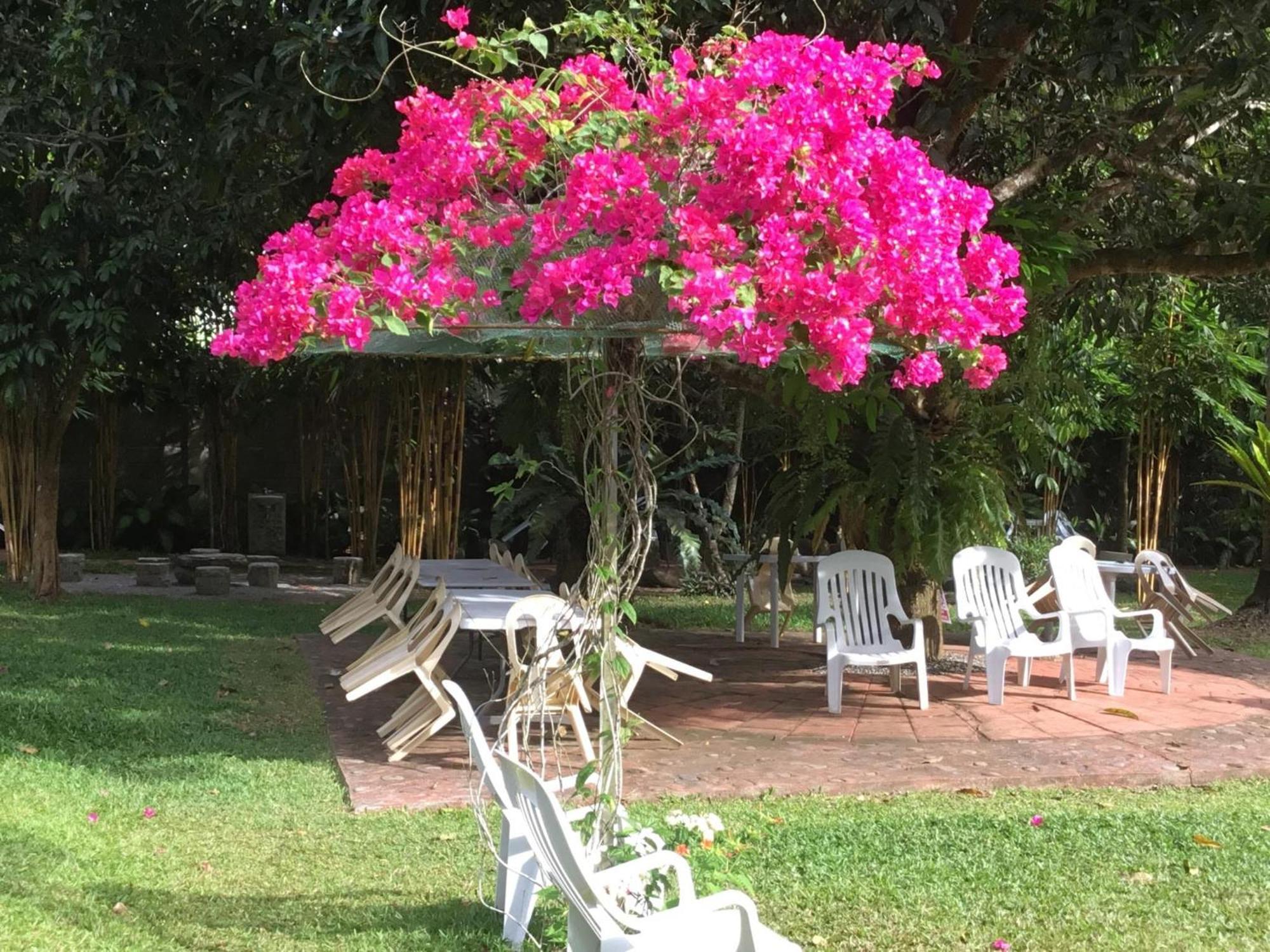 Camiguin Lanzones Resort Mambajao Exterior photo